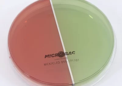 AGAR CLED / MACCONKEY