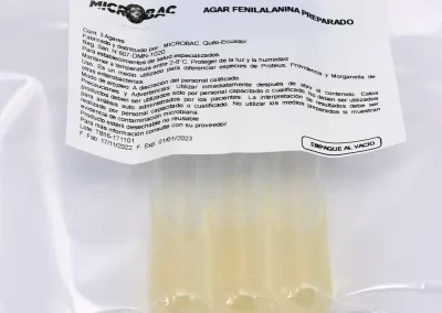 AGAR FENILALANINA