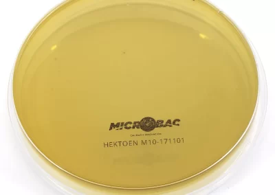 AGAR HEKTOEN ENTERIC