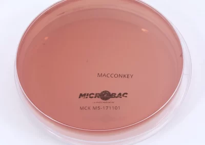 AGAR MACCONKEY