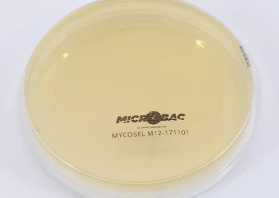 AGAR MYCOSEL