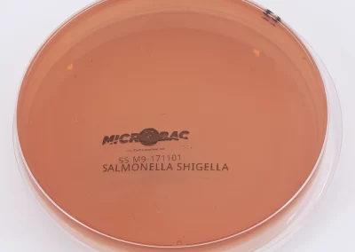 AGAR SALMONELLA SHIGELLA