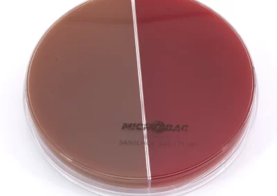 AGAR SANGRE DE CORDERO / CHOCOLATE SUPLEMENTADO