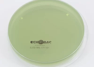 AGAR CLED