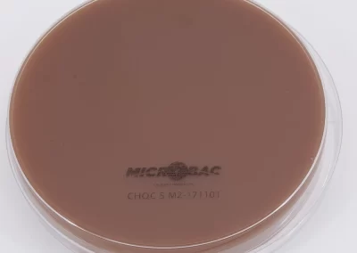 AGAR CHOCOLATE